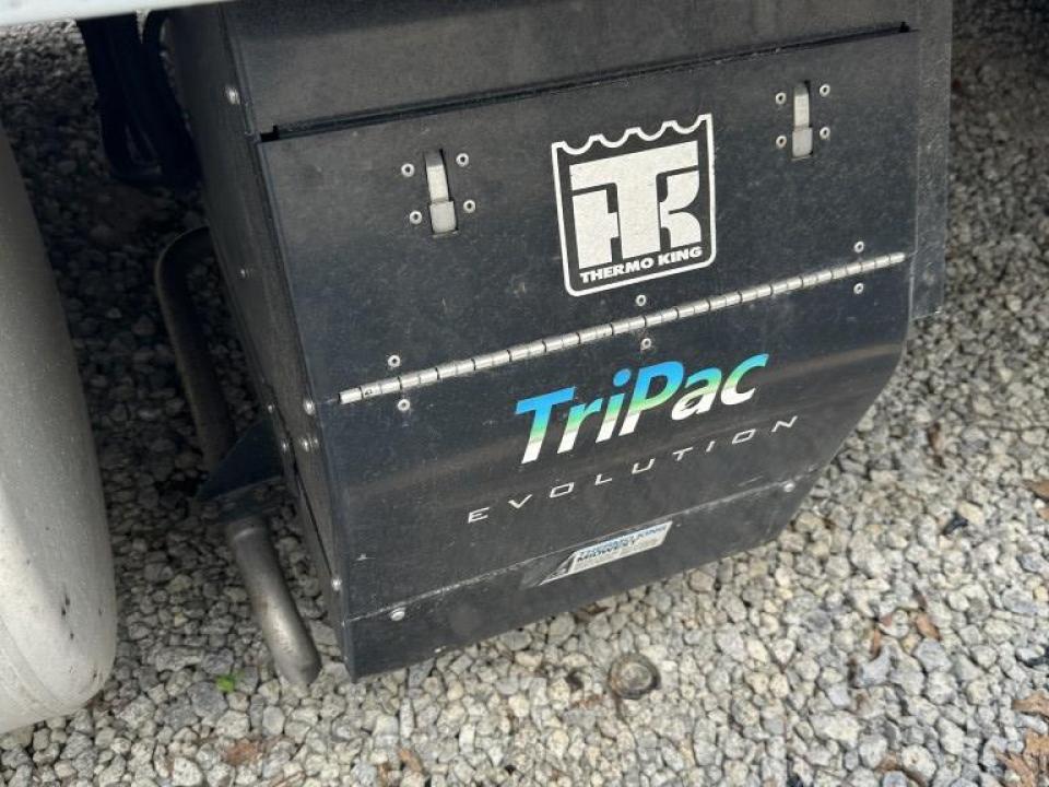 175276620931803.jpg